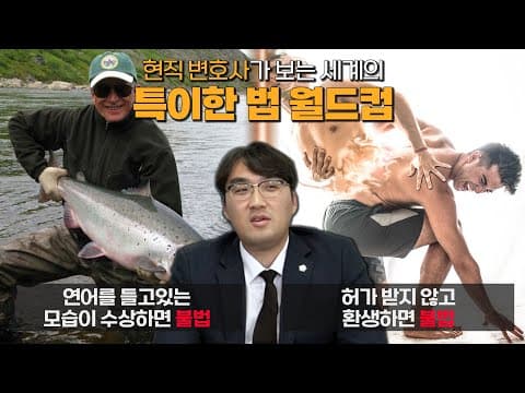 현직 변호사가 보는 세계의 특이한 법 월드컵 ｜ 환생하면 불법 VS 연어를 들고 있는 모습이 수상하면 불법 ｜ 이상형 월드컵